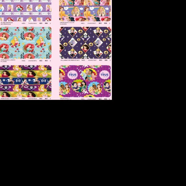 PAPEL COUCHE PRINCESAS DIPAK 50X70 CM. PZA